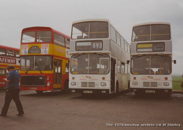 csslion01dtuknw.jpg - 2 RV Bodied Lions
