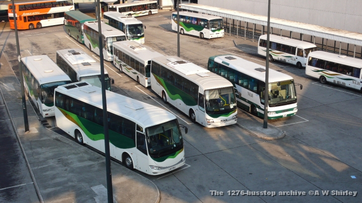 tungchunbus01241108.JPG - An Overview Of Tung Chung Bus Station